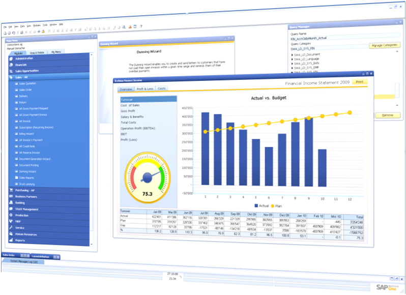 Kota Bilgisayar - SAP business One